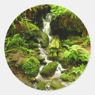 Trillium Falls i Redwood National Park Runt Klistermärke