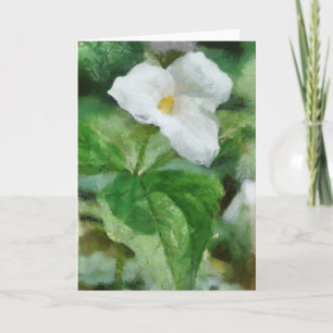 Trillium Flower Greeting Card-teckning Kort