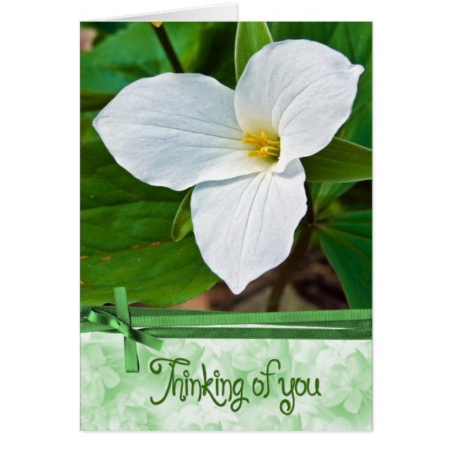 Trillium Flower med Grönt Ribbon Hälsningskort (Framsidan)