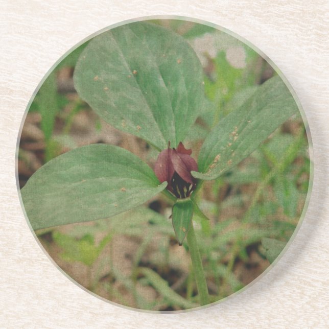 Trillium Flower Underlägg (Framsidan)