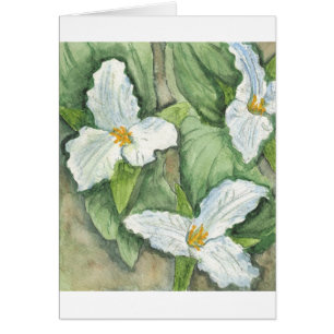 Trillium Hälsningskort