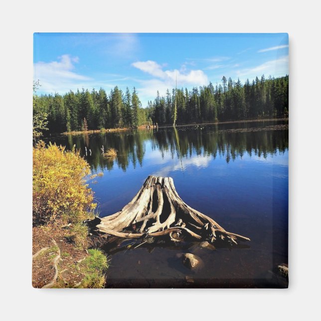 Trillium Lake, OR Magnet (Framsidan)