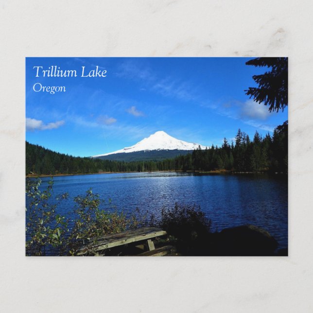 Trillium Lake, OR Vykort (Framsida)