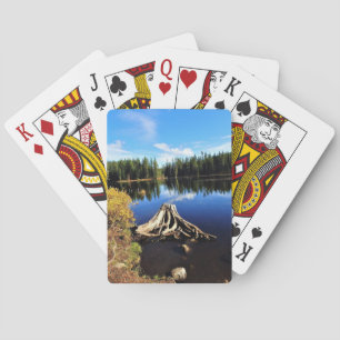 Trillium Sjö, ELLER Casinokort