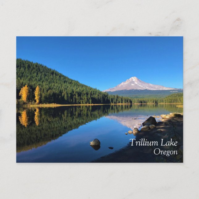 Trillium Sjö, Oregon Vykort (Framsida)