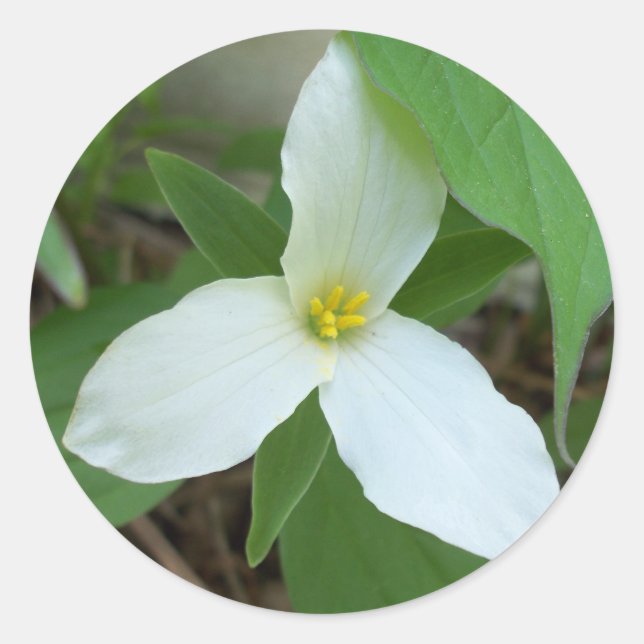 Trillium Sticker Runt Klistermärke (Framsida)
