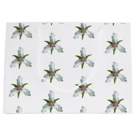 Trillium Vår Wildblomma Mönster