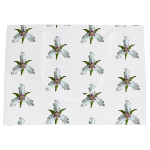 Trillium Vår Wildblomma Mönster