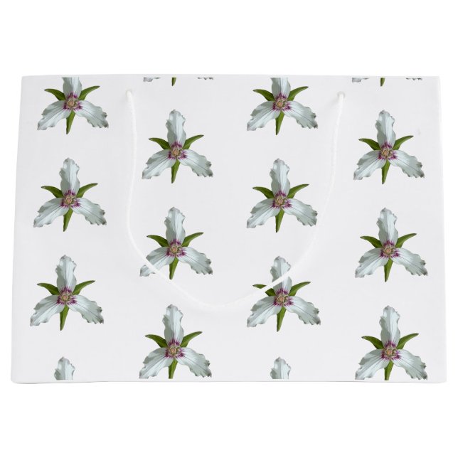 Trillium Vår Wildblomma Mönster (Framsidan)