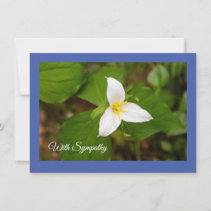 Trillium-Vild - blomsterplatta kort
