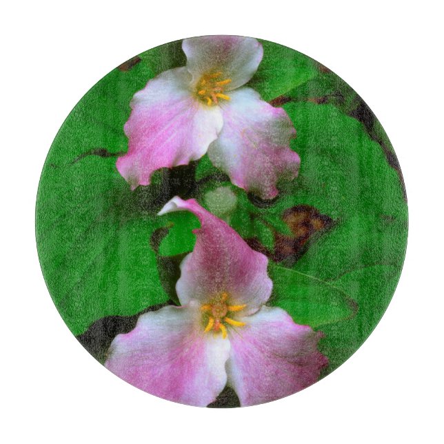 Trillium vildblomma (Framsidan)