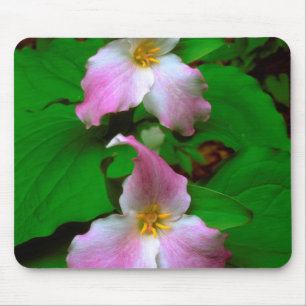 Trillium vildblomma musmatta