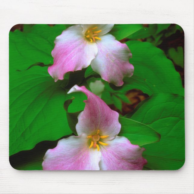 Trillium vildblomma musmatta (Framsidan)