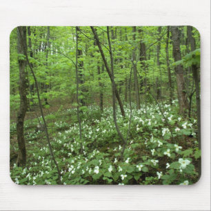 Trilliumhimmel Mousepad Musmatta