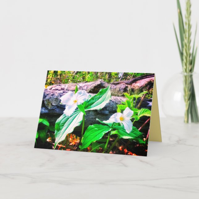 TRILLIUMS BRIGHT GREETING CARD KORT (Framsida)