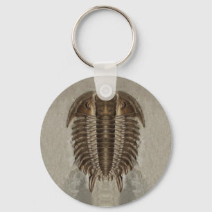 Trilobite fossil Keychain Nyckelring