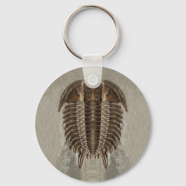 Trilobite Fossil Keychain Nyckelring (Framsida)