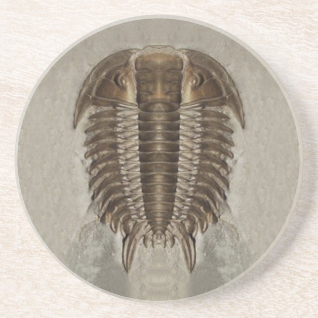 Trilobite fossil- kustfartyg underlägg sandsten (Framsidan)