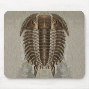 Trilobite fossil Mousepad Musmatta