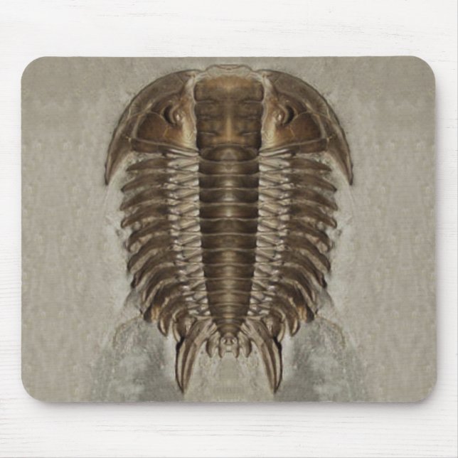 Trilobite fossil Mousepad Musmatta (Framsidan)