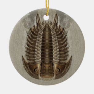 Trilobite fossil- prydnad julgransprydnad keramik