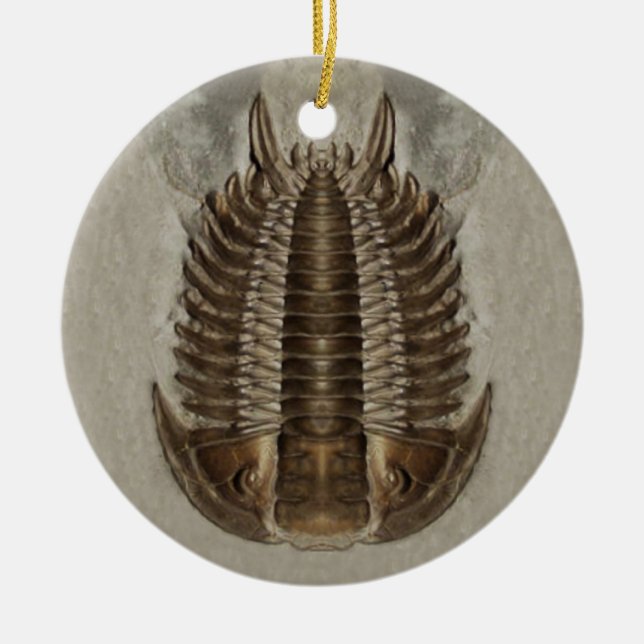 Trilobite fossil- prydnad julgransprydnad keramik (Framsidan)