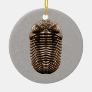 Trilobite fossil- prydnad julgransprydnad keramik