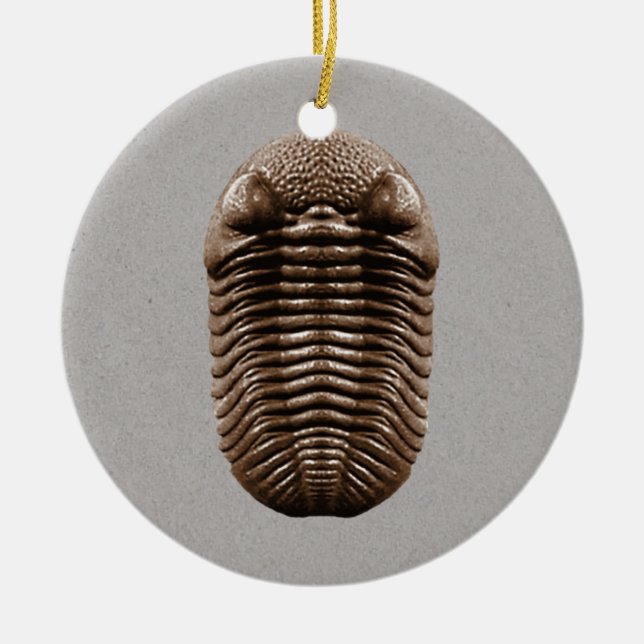 Trilobite fossil- prydnad julgransprydnad keramik (Framsidan)
