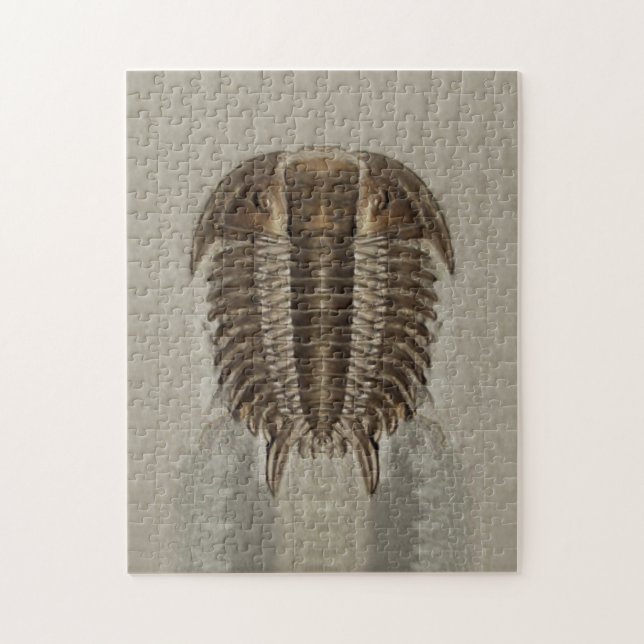 Trilobite fossil- pussel (Vertikal)