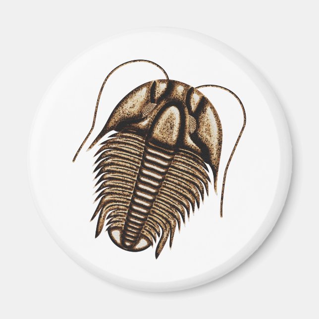 Trilobite Fridge Magnet (Framsidan)