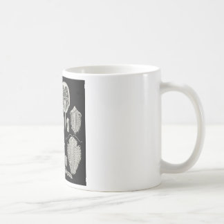 Trilobite! Kaffemugg