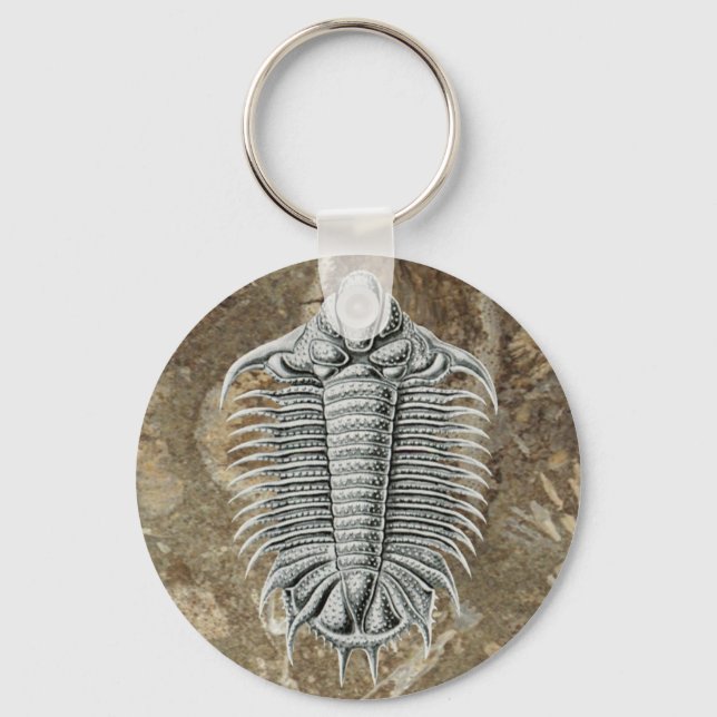 Trilobite Keychain Nyckelring (Framsida)