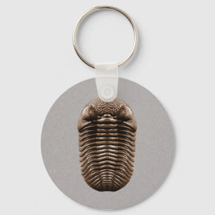 Trilobite Keychain Nyckelring