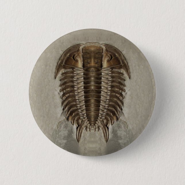 Trilobite knäppas knapp (Framsida)
