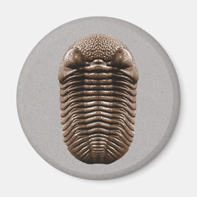 Trilobite Magnet (Framsidan)