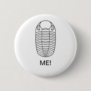 TRILOBITE MIG! KNAPP