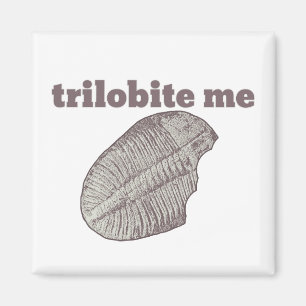 Trilobite mig magnet
