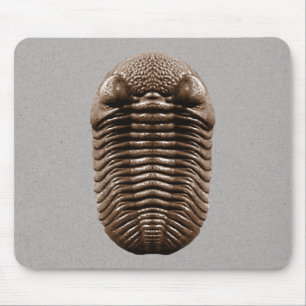 Trilobite Mousepad Musmatta
