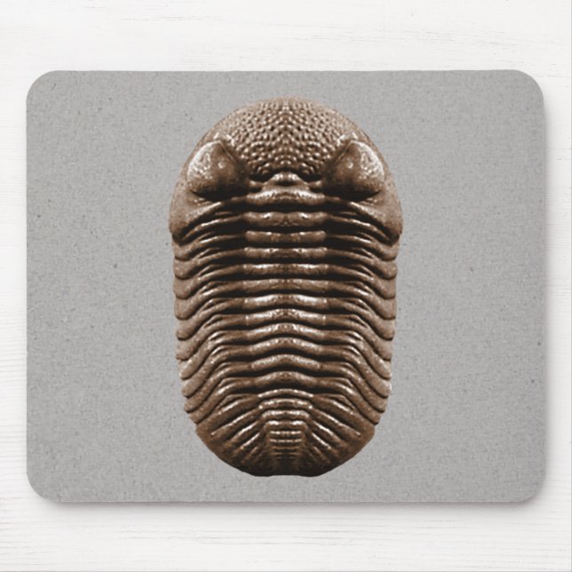 Trilobite Mousepad Musmatta (Framsidan)