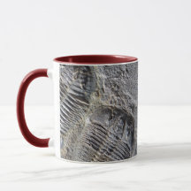 Trilobite mugg