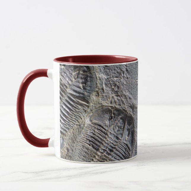 Trilobite mugg (Vänster)
