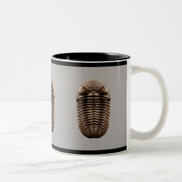 Trilobite mugg