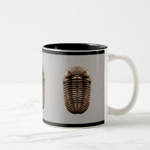 Trilobite mugg