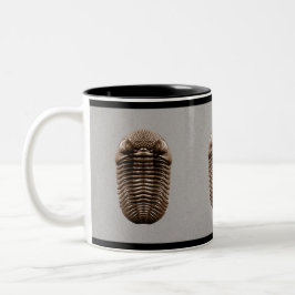 Trilobite mugg