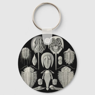Trilobite! Nyckelring