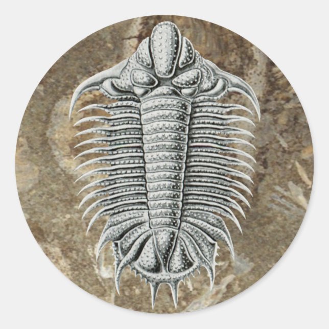 Trilobite Sticker Runt Klistermärke (Framsida)