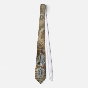 Trilobite Tie Slips