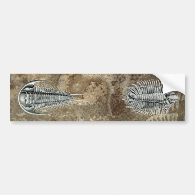 Trilobites bildekal (Framsidan)