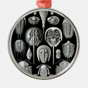Trilobites och fossil i svartvitt julgransprydnad metall