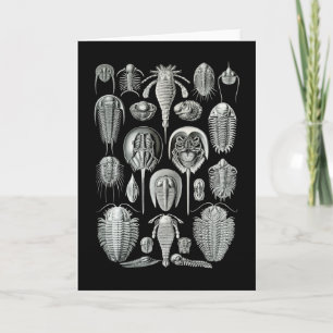 Trilobites och havsScorpions Kort